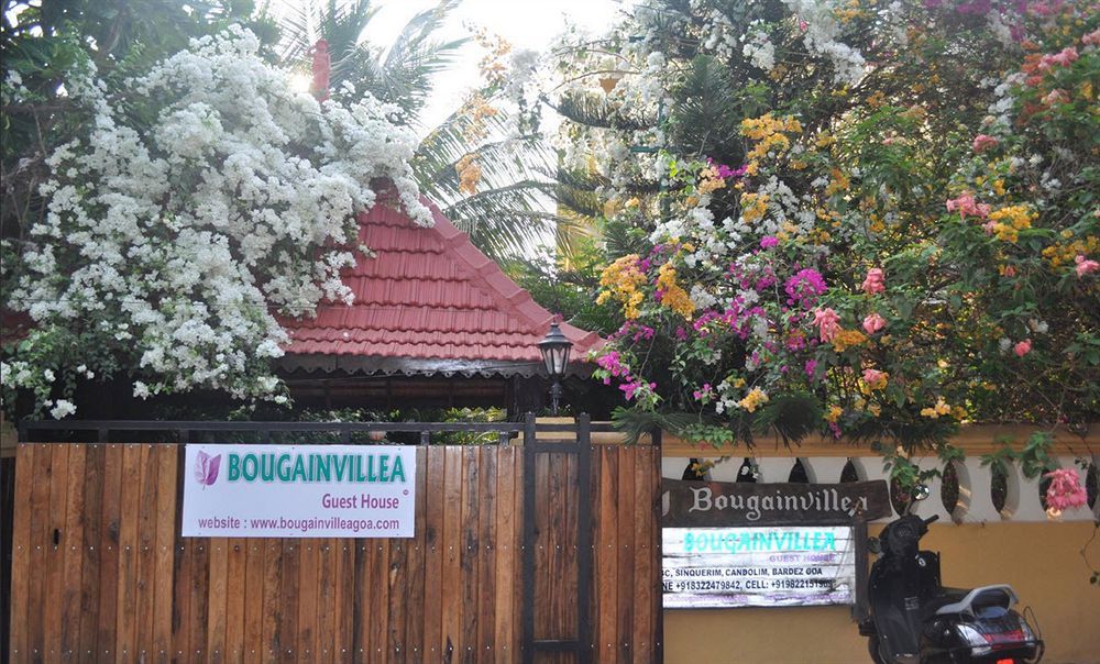 Bougainvillea Guest House Candolim Exteriér fotografie